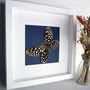 Woodcut Framed Butterfly, thumbnail 2 of 4