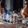 Gin Tasting Experience For One Person In Leeds, thumbnail 4 of 6