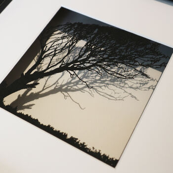 Framed Papercut Windswept Tree Art, 5 of 8