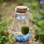 Marimo Moss Ball Terrarium In A Glass Milk Jar, thumbnail 1 of 5