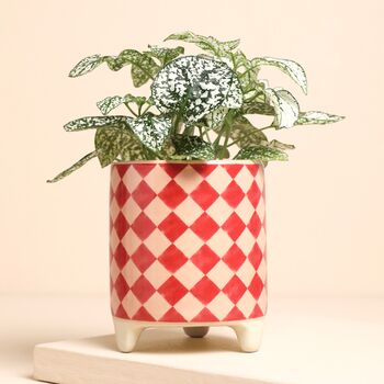 Pink And Red Harlequin Ceramic Mini Planter, 2 of 2