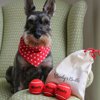 Personalised Dog Tennis Balls And Matching Gift Bag, 4 of 12