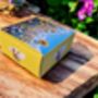Bumble Bee And Sunflower Socks – Fun Gift Boxed One Size, thumbnail 9 of 9