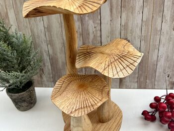 Large Hand Carved Wooden Bali Mushroom Set, 7 of 11
