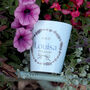 Personalised Bridesmaid Lavender Plant Pot With Seeds, thumbnail 1 of 3