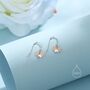 Sterling Silver Axolotl Drop Hook Earrings, thumbnail 6 of 12
