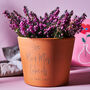Personalised Mr And Mrs Terracotta Plant Pot, thumbnail 1 of 1