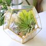 Gold Geometric Terrarium Kit With Air Plant Lover Gift Mother's Day, thumbnail 4 of 9