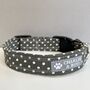 Grey Polka Dot Collar And Lead For Girl And Boy Dogs, thumbnail 2 of 7