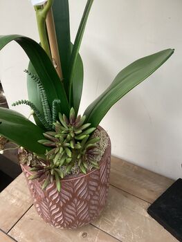 White Cymbidium Orchid Silk Flower Arrangement, 3 of 6