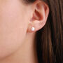 Sterling Silver Tiny Rose Stud Earrings, thumbnail 1 of 7