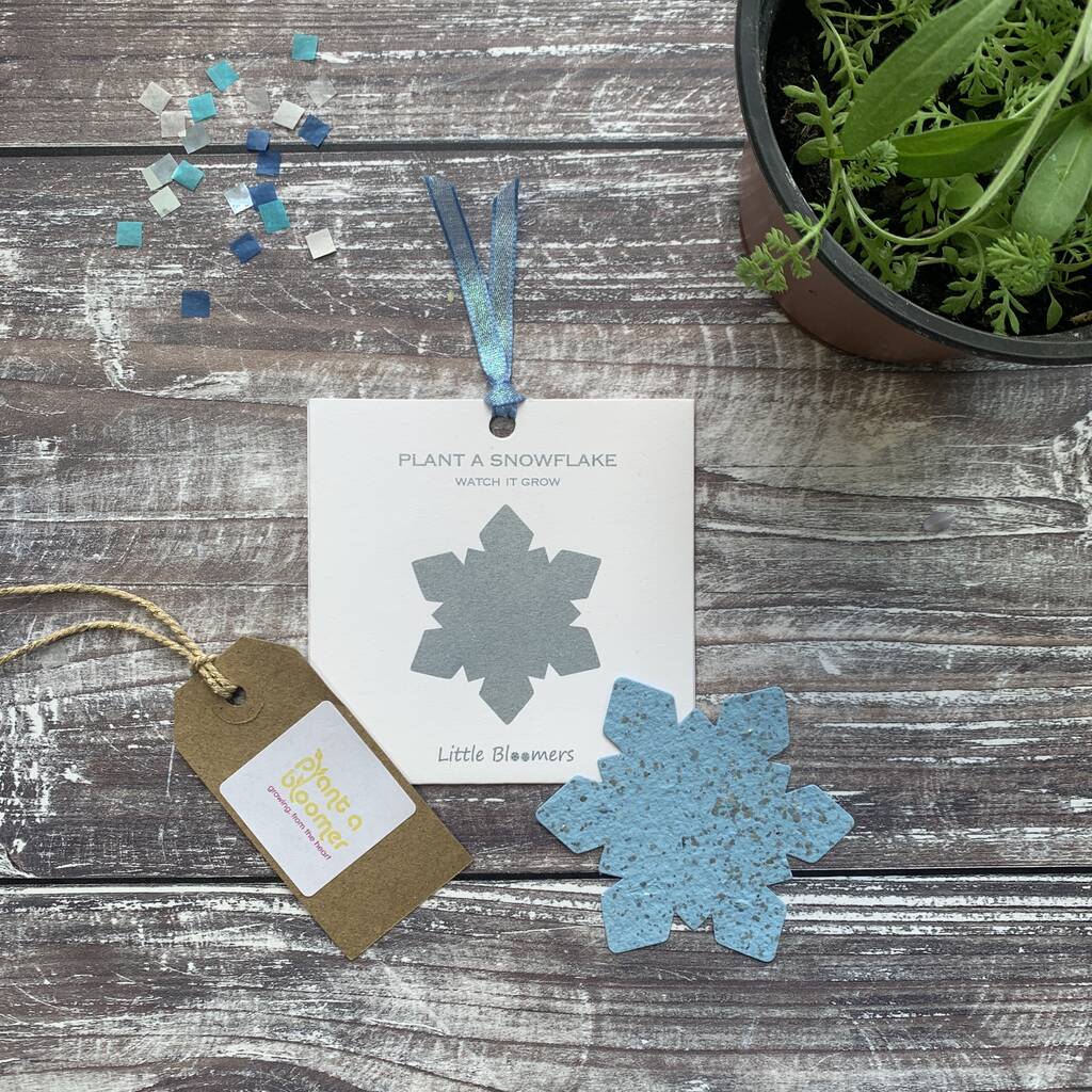 Plant A Snowflake Seed Paper Card, 1 of 5