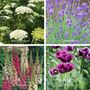 2026 Wall Calendar A5 Opens To A4, Grow Your Own Flower Garden Wall Seed Calendar, thumbnail 9 of 10