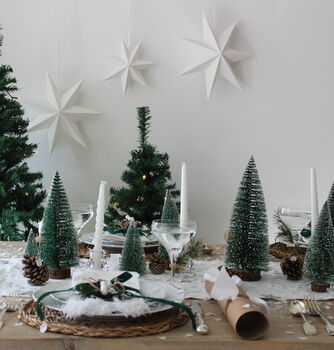 Winter Wonderland Festive Christmas Tablescape, 3 of 11