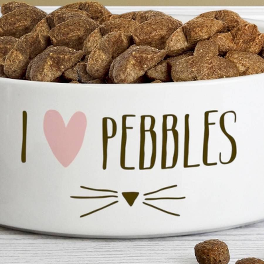 Personalised Cat Bowl By Chalk And Cheese Candles And Wax Melts