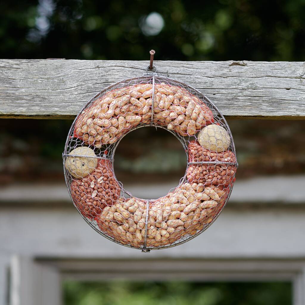 Bird Food Wreath Including Bird Food By The Little Boys Room