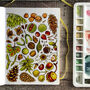 Nuts And Seeds Of Britain Postcard, thumbnail 6 of 8