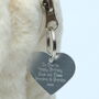 Personalised Cream Bunny Hot Water Case, Bottle Inc, thumbnail 6 of 12