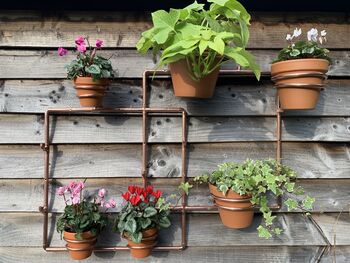 Copper Plant Pot Wall Frame, 6 of 7