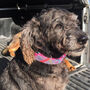 Purdy In Pink Harris Tweed Dig Bow Tie, thumbnail 6 of 7