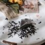 Teaspec Opus Ripe, Organic Black Tea, Best Chinese Tea, thumbnail 3 of 3