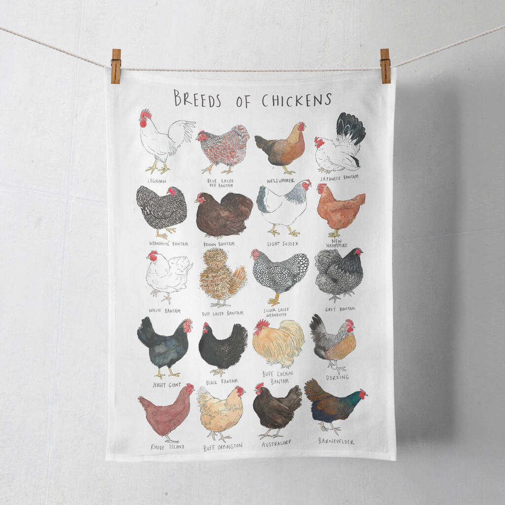 Illustrated Breeds Of Chickens Tea Towel By Becca Hall illustration