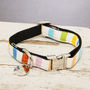 The Thurlestone Pastel Striped Dog Collar, thumbnail 1 of 4