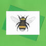 Hand Drawn Bumblebee Illustrated Blank Greeting Card, thumbnail 3 of 10
