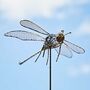 Anax Metal Dragonfly Garden Stake Decoration, thumbnail 4 of 6