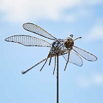 Anax Metal Dragonfly Garden Stake Decoration, 4 of 6