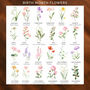 Personalised Birth Month Flower Mug, thumbnail 4 of 5