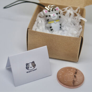 Personalised Tiny Parcel, Greetings Card And Cat Gift, 3 of 8