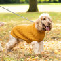Plain Knitted Mustard Dog Jumper, thumbnail 2 of 5