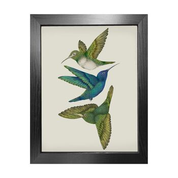 'Antique Hummingbirds Iii' Fine Art Print, 3 of 4