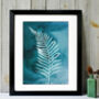 Fern No.One Limited Edition Fine Art Print, thumbnail 1 of 3