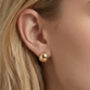 Kin 18 K Gold Plated Knot Earrings, thumbnail 4 of 5