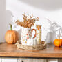 Autumn Flower Jug Vase Halloween Home Decor Vase, thumbnail 3 of 6