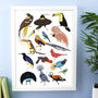 Birds Of Paradise Print, thumbnail 1 of 1