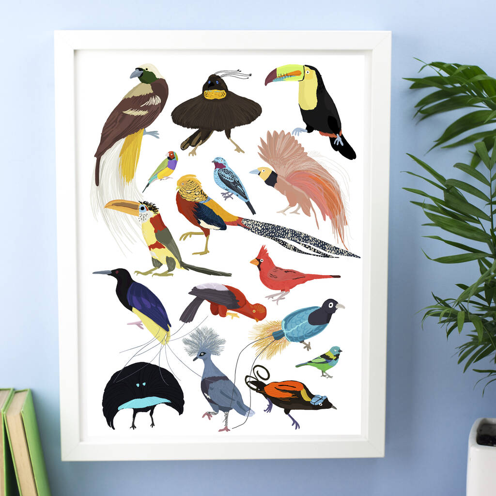 Birds Of Paradise Print