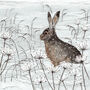'Hare' Print, thumbnail 3 of 3