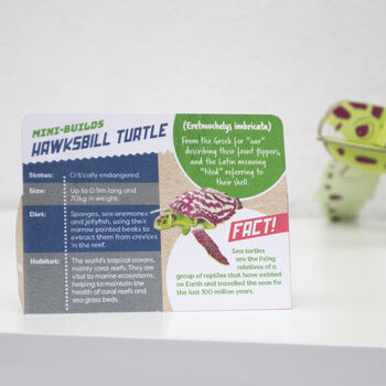 Build Your Own Personalised Hawksbill Turtle, 10 of 10