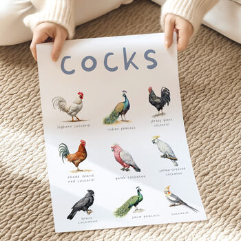 'Cocks' Bird Wall Print, 3 of 6