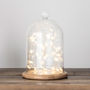 Glass Bell Jar With Star Micro Fairy Lights, thumbnail 1 of 5
