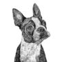 Boston Terrier Dog Print, thumbnail 2 of 3
