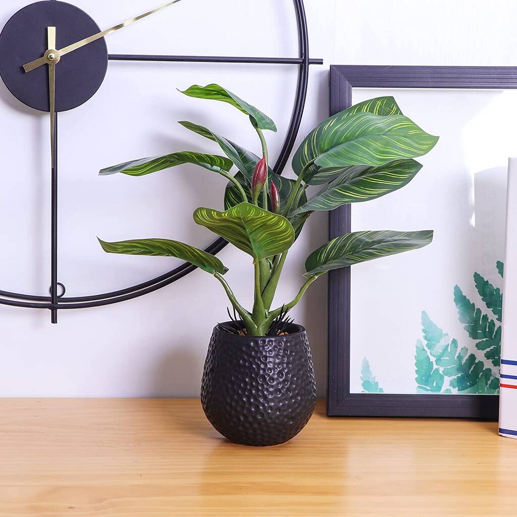 Two Indoor Artificial Plants In Pots By Momentum