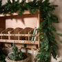 Luxury Pre Lit Wreath And Garland Collection, thumbnail 1 of 6