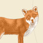 Fox Birthday Card, thumbnail 3 of 3