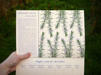 Welsh Language Herbal Calendar 2026, 7 of 8