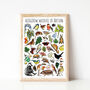 Hedgerow Wildlife Of Britain Watercolour Postcard, thumbnail 5 of 12