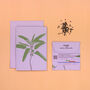 Illustrated Botanical Card With Sage Seeds, thumbnail 2 of 5